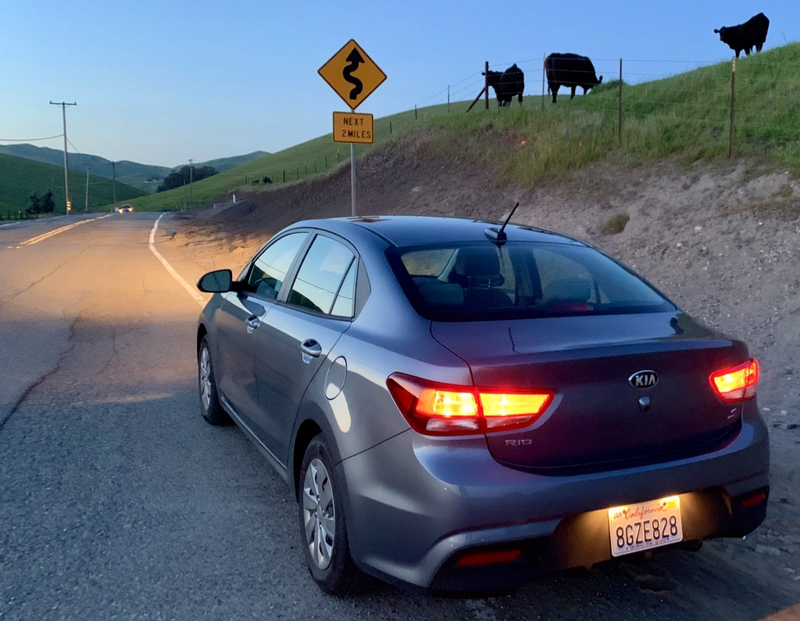 Illustration for article titled 2019 Kia Rio: An Opposite Lock Rental Review